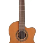 Salvador Cortez CC-10CE mit Pickup