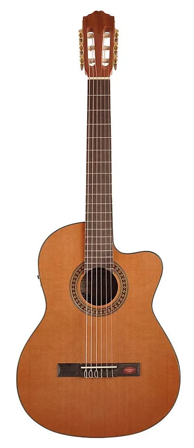 Salvador Cortez CC-10CE mit Pickup