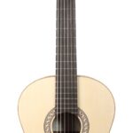 Höfner HGL5