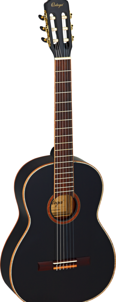Ortega R221 BK